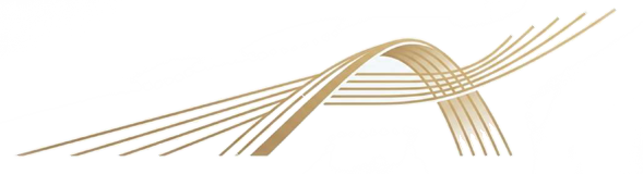 A Evolução do Corretor de Seguros: De intermediário a Consultor de Riscos Essencial